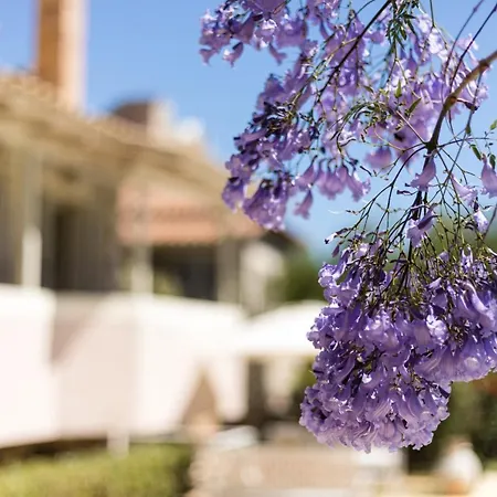 Tria Luxury Residences Stoupa Exterior photo